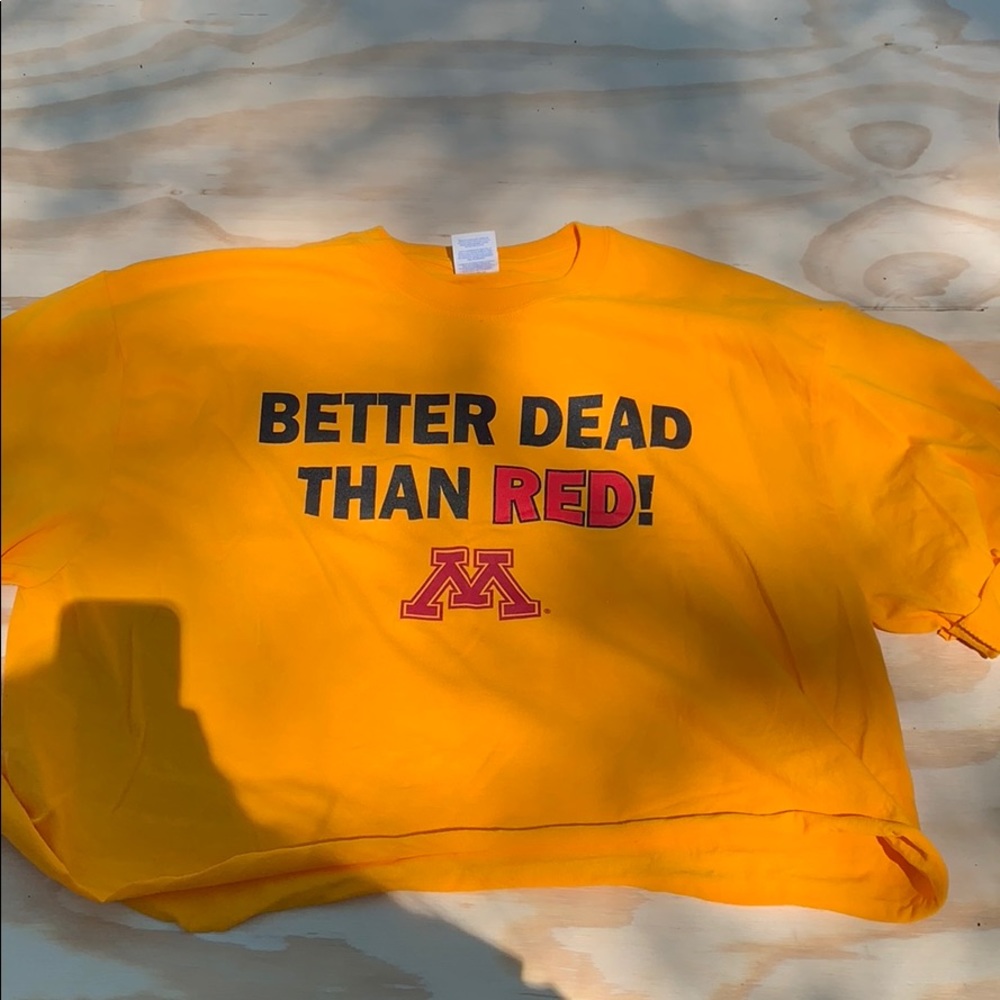 University of Minnesota top (cropped)